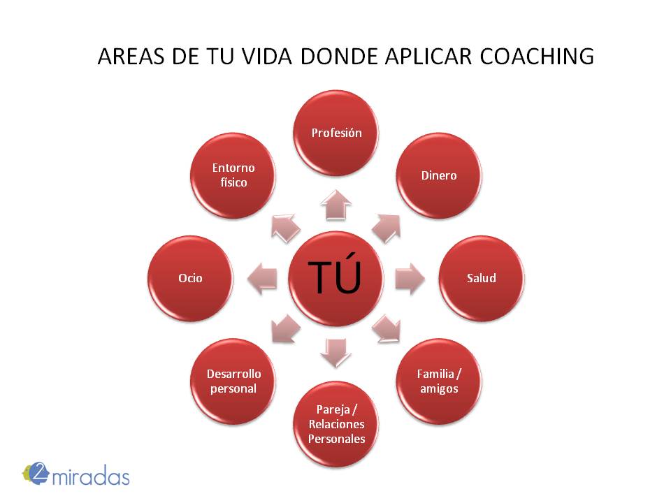 areas coaching