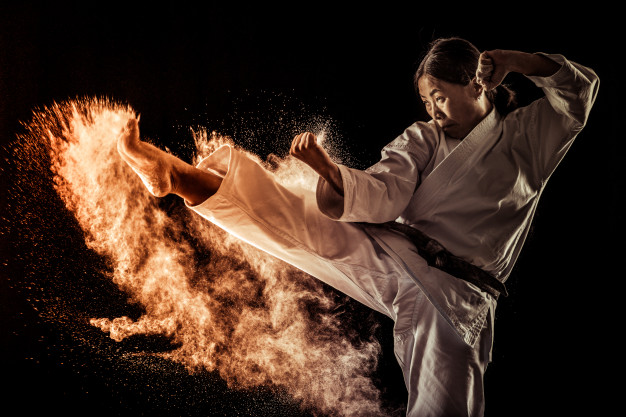 la disciplina del karate aplicada al mundo empresarial