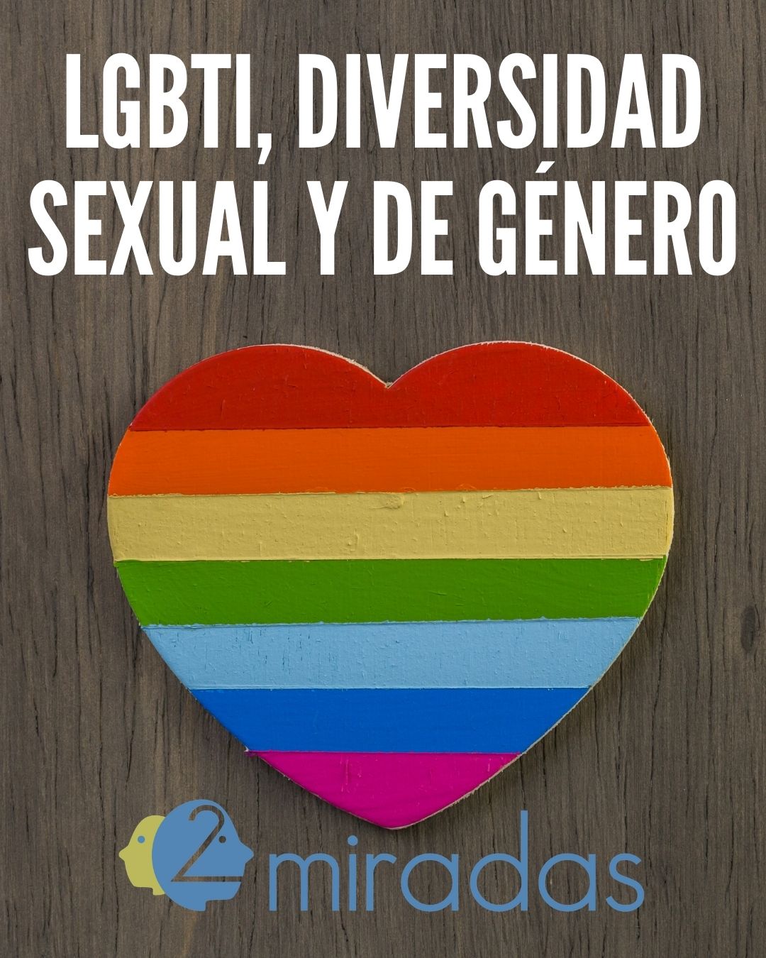 LGBTI Diversidad sexual y de género